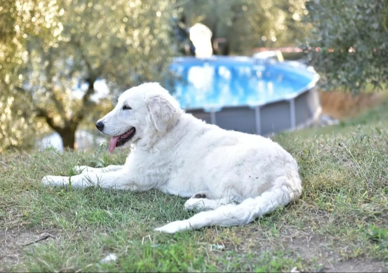 Campsite Paradise Agricamp Roccastrada