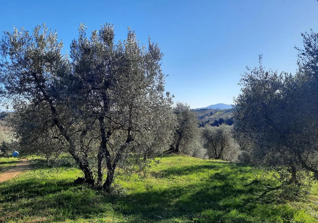Paradise Agricamp Roccastrada 0*,