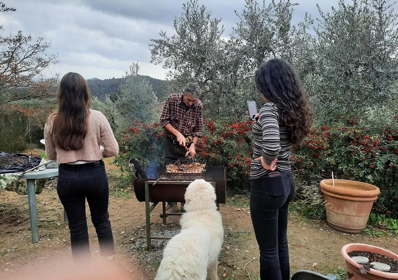Paradise Agricamp Roccastrada