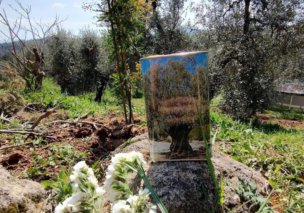 Paradise Agricamp Roccastrada Campeggio